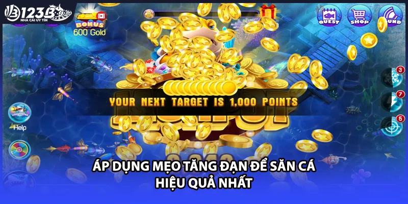 Áp dụng mẹo tăng đạn để săn cá hiệu quả nhất