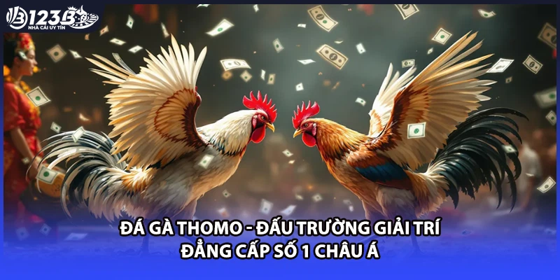 Đá Gà Thomo - Đấu Trường Giải Trí Đẳng Cấp Số 1 Châu Á