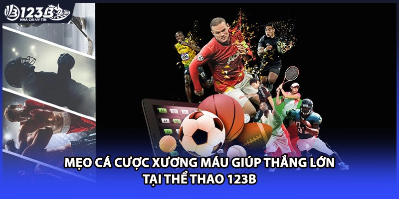 Mẹo cá cược xương máu giúp thắng lớn tại thể thao 123B