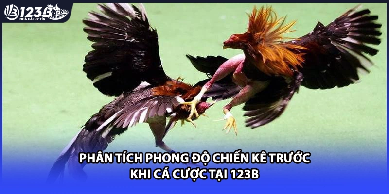Phân tích phong độ chiến kê trước khi cá cược tại 123B